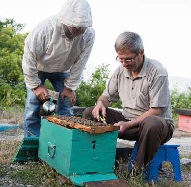 beekeeping albanian heritage