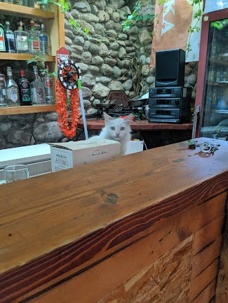 IMG 20190629 171430