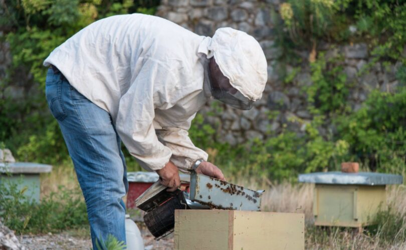 beekeeper1 e1659701833854