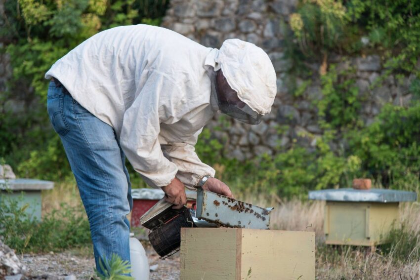 beekeeper1 e1659701833854