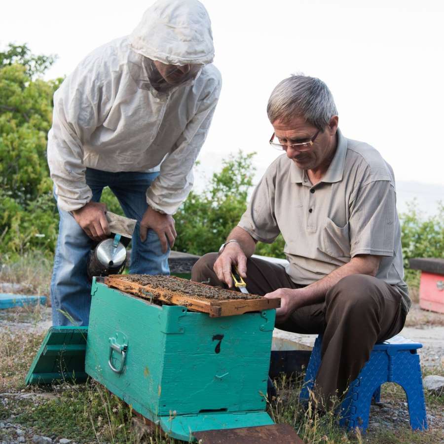 two-beekeepers (1) beekeeping albanian heritage